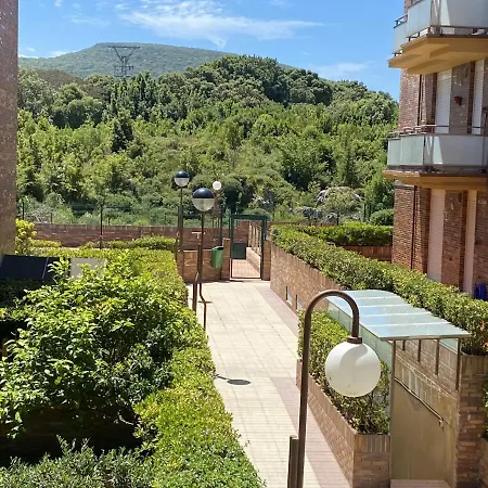 Circo Bueno Isla Plana